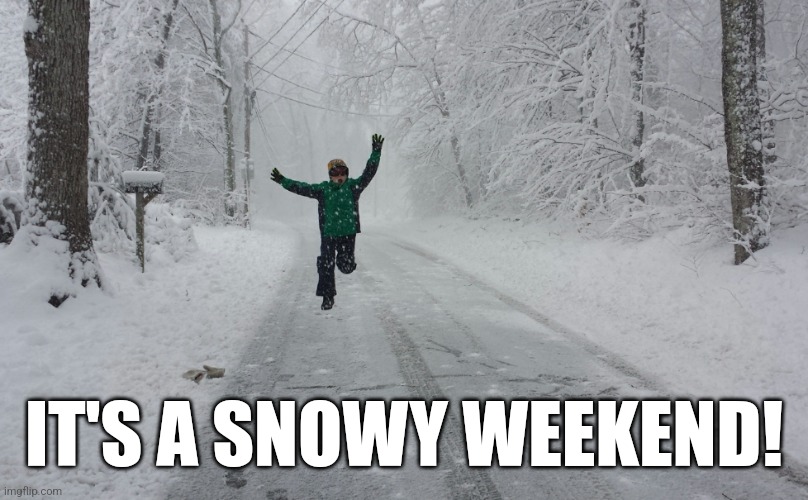 More snow means more fun outside | IT'S A SNOWY WEEKEND! | image tagged in snow day,snow | made w/ Imgflip meme maker