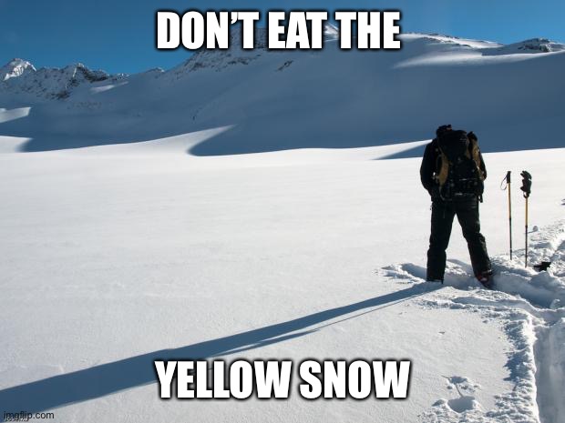 Yellow Snow | DON’T EAT THE YELLOW SNOW | image tagged in yellow snow | made w/ Imgflip meme maker
