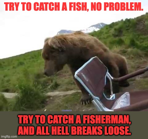 Catch of the day | TRY TO CATCH A FISH, NO PROBLEM. TRY TO CATCH A FISHERMAN, AND ALL HELL BREAKS LOOSE. | image tagged in bear | made w/ Imgflip meme maker