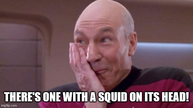 picard oops | THERE'S ONE WITH A SQUID ON ITS HEAD! | image tagged in picard oops | made w/ Imgflip meme maker
