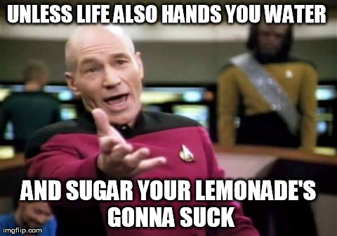 Picard Wtf | UNLESS LIFE ALSO HANDS YOU WATER  AND SUGAR YOUR LEMONADE'S GONNA SUCK | image tagged in memes,picard wtf | made w/ Imgflip meme maker