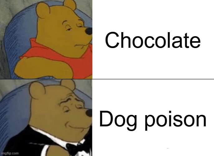 rip dog | Chocolate; Dog poison | image tagged in memes,tuxedo winnie the pooh | made w/ Imgflip meme maker