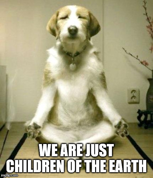 Inner Peace Dog | WE ARE JUST CHILDREN OF THE EARTH | image tagged in inner peace dog | made w/ Imgflip meme maker
