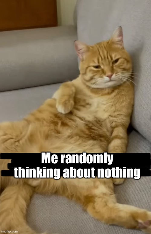 When you think about nothing | Me randomly thinking about nothing | image tagged in cats,memes,mems,nothing,random | made w/ Imgflip meme maker