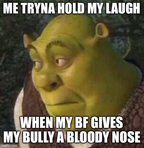 Bully | ME TRYNA HOLD MY LAUGH; WHEN MY BF GIVES MY BULLY A BLOODY NOSE | image tagged in shrek,dark humor,bff | made w/ Imgflip meme maker