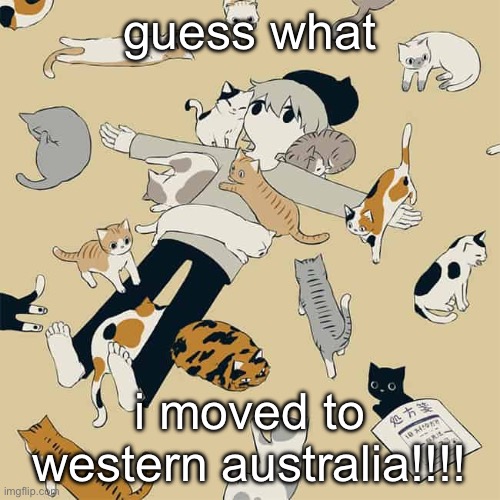 Avogado6 | guess what; i moved to western australia!!!! | image tagged in avogado6 | made w/ Imgflip meme maker