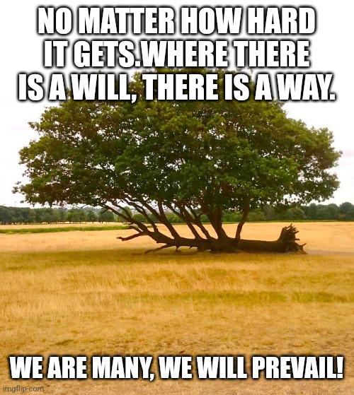 Never give up | NO MATTER HOW HARD IT GETS.WHERE THERE IS A WILL, THERE IS A WAY. WE ARE MANY, WE WILL PREVAIL! | image tagged in never give up | made w/ Imgflip meme maker