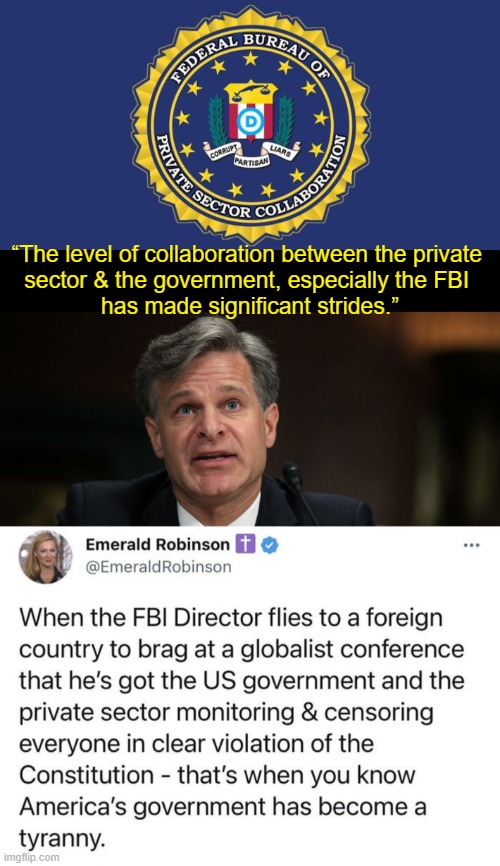 FBI Director Wray at Davos Says The Quiet Part Out Loud |  “The level of collaboration between the private 
sector & the government, especially the FBI 
has made significant strides.” | image tagged in politics,fbi,corruption,fbi director wray,the truth,government corruption | made w/ Imgflip meme maker