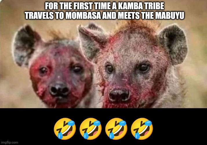 Greedy ness | FOR THE FIRST TIME A KAMBA TRIBE TRAVELS TO MOMBASA AND MEETS THE MABUYU; 🤣🤣🤣🤣 | image tagged in imgflip users,imgflip community,facebook,imgflippers | made w/ Imgflip meme maker
