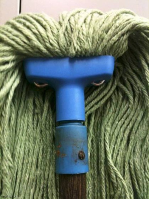 Angry Mop | image tagged in angry mop | made w/ Imgflip meme maker