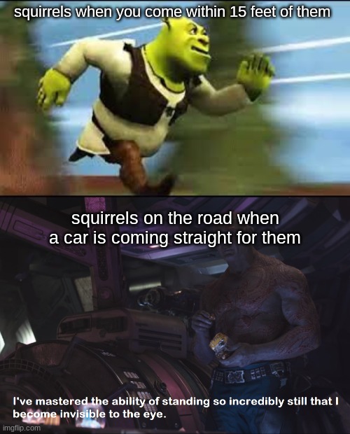 squirrels when you come within 15 feet of them; squirrels on the road when a car is coming straight for them | image tagged in shrek running,invisible drax | made w/ Imgflip meme maker