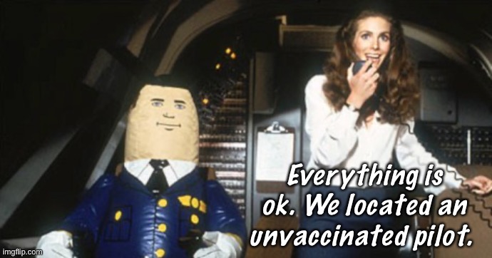 Attention passengers. |  Everything is ok. We located an unvaccinated pilot. | image tagged in airplane otto the co-pilot,politics lol,memes | made w/ Imgflip meme maker