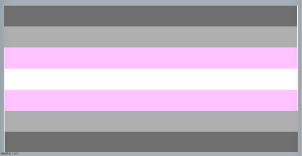 Demigirl flag. What should I do next? | made w/ Imgflip meme maker