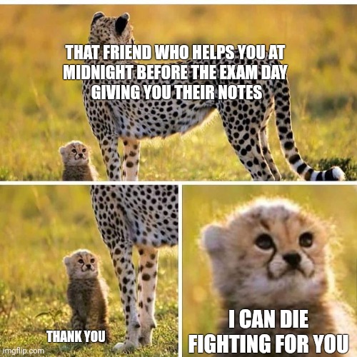 Cheetah Mom with Scared Cub | THAT FRIEND WHO HELPS YOU AT 

MIDNIGHT BEFORE THE EXAM DAY 

GIVING YOU THEIR NOTES; I CAN DIE FIGHTING FOR YOU; THANK YOU | image tagged in cheetah mom with scared cub | made w/ Imgflip meme maker