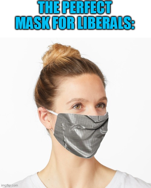 DUCT TAPE | THE PERFECT MASK FOR LIBERALS: | image tagged in duct tape,facemask,liberals | made w/ Imgflip meme maker