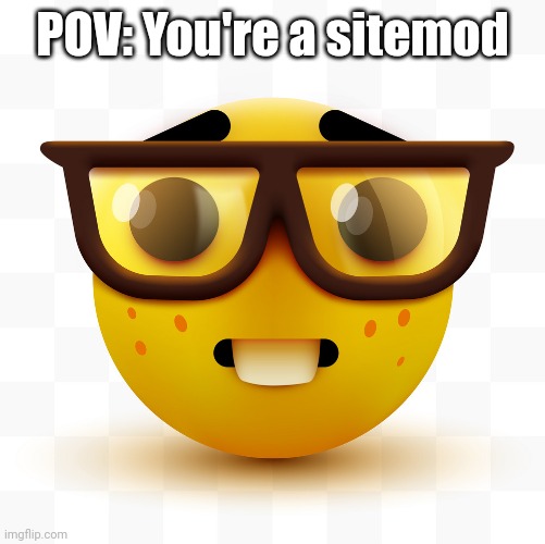 Nerd emoji | POV: You're a sitemod | image tagged in nerd emoji | made w/ Imgflip meme maker