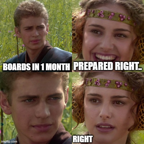 :o | BOARDS IN 1 MONTH; PREPARED RIGHT.. RIGHT | image tagged in anakin padme 4 panel | made w/ Imgflip meme maker