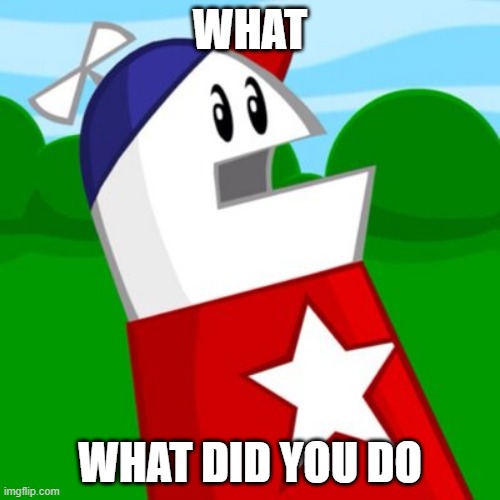 homestar | WHAT; WHAT DID YOU DO | image tagged in homestar runner | made w/ Imgflip meme maker