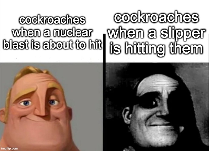 Image Title | cockroaches when a slipper is hitting them; cockroaches when a nuclear blast is about to hit | image tagged in teacher's copy | made w/ Imgflip meme maker