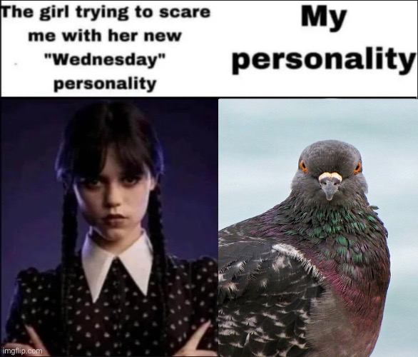 as a person who has the personality of p i g e o n I’ve seen far worse than a regarded goth girl | image tagged in the girl trying to scare me with her new wednesday personality | made w/ Imgflip meme maker