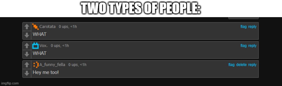 TWO TYPES OF PEOPLE: | image tagged in no tags | made w/ Imgflip meme maker