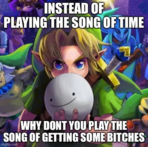 Had to fix it cause typo | INSTEAD OF PLAYING THE SONG OF TIME; WHY DONT YOU PLAY THE SONG OF GETTING SOME BITCHES | image tagged in link with a dream mask | made w/ Imgflip meme maker