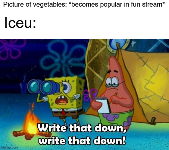 (insert hurtful title for Iceu here) |  Picture of vegetables: *becomes popular in fun stream*; Iceu: | image tagged in write that down | made w/ Imgflip meme maker