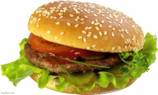 hamburger | image tagged in random | made w/ Imgflip meme maker