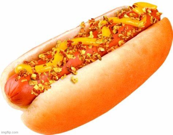hotdog | image tagged in random | made w/ Imgflip meme maker