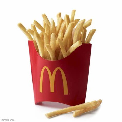 fries | image tagged in french fries,random | made w/ Imgflip meme maker