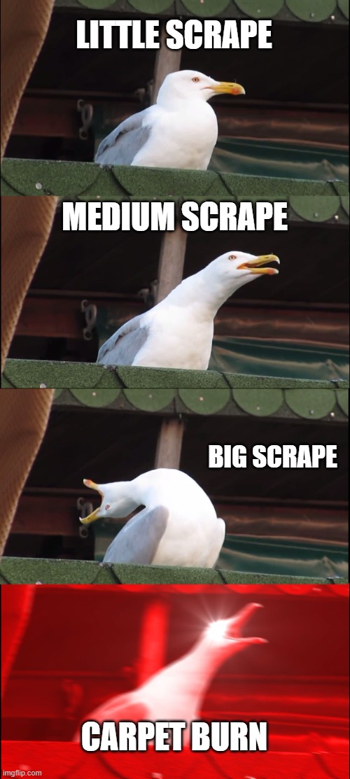 the 4 stages of scrapes | LITTLE SCRAPE; MEDIUM SCRAPE; BIG SCRAPE; CARPET BURN | image tagged in memes,inhaling seagull | made w/ Imgflip meme maker