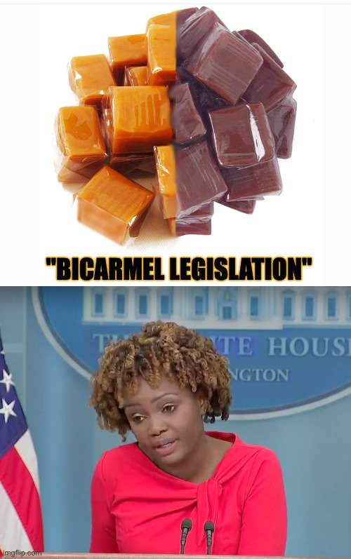 With someone this dumb at the podium, how can we believe anything the Biden administration tells us? | "BICARMEL LEGISLATION" | image tagged in karine | made w/ Imgflip meme maker