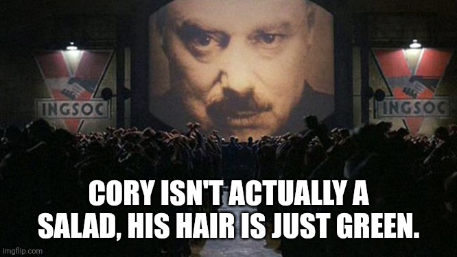 1984 | CORY ISN'T ACTUALLY A SALAD, HIS HAIR IS JUST GREEN. | image tagged in 1984 | made w/ Imgflip meme maker