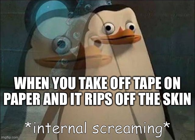 Private Internal Screaming | WHEN YOU TAKE OFF TAPE ON PAPER AND IT RIPS OFF THE SKIN | image tagged in private internal screaming | made w/ Imgflip meme maker