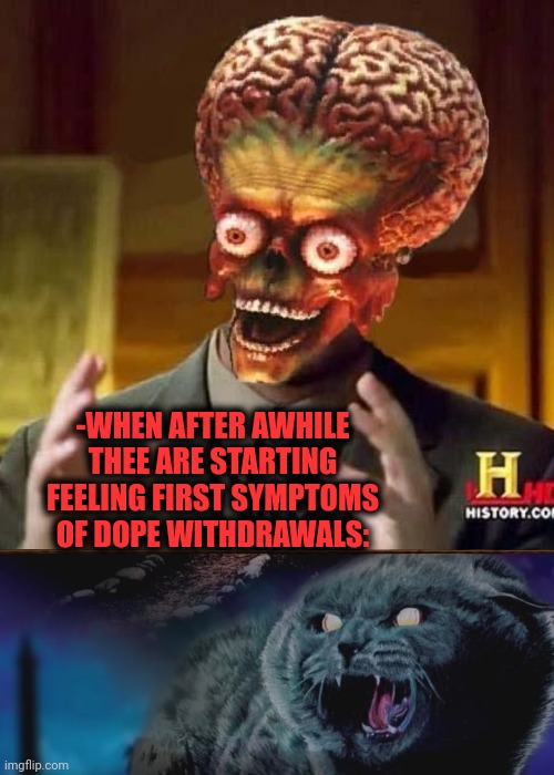 -WHEN AFTER AWHILE THEE ARE STARTING FEELING FIRST SYMPTOMS OF DOPE WITHDRAWALS: | image tagged in aliens 6 | made w/ Imgflip meme maker
