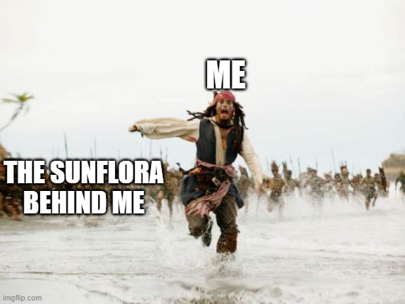 Jack Sparrow Being Chased | ME; THE SUNFLORA BEHIND ME | image tagged in memes,jack sparrow being chased | made w/ Imgflip meme maker