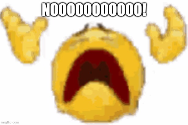 crying emoji meme | NOOOOOOOOOOO! | image tagged in crying emoji meme | made w/ Imgflip meme maker