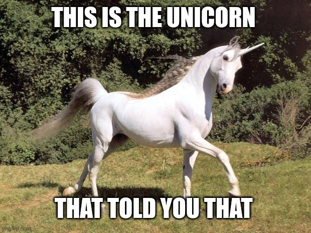 Unicorns | THIS IS THE UNICORN THAT TOLD YOU THAT | image tagged in unicorns | made w/ Imgflip meme maker