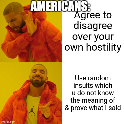 Drake Hotline Bling Meme | Agree to disagree over your own hostility Use random insults which u do not know the meaning of & prove what I said AMERICANS: | image tagged in memes,drake hotline bling | made w/ Imgflip meme maker