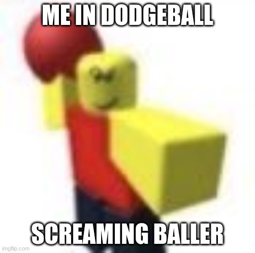 STOP POSTING ABOUT *smack* BALLER! | ME IN DODGEBALL; SCREAMING BALLER | image tagged in baller | made w/ Imgflip meme maker