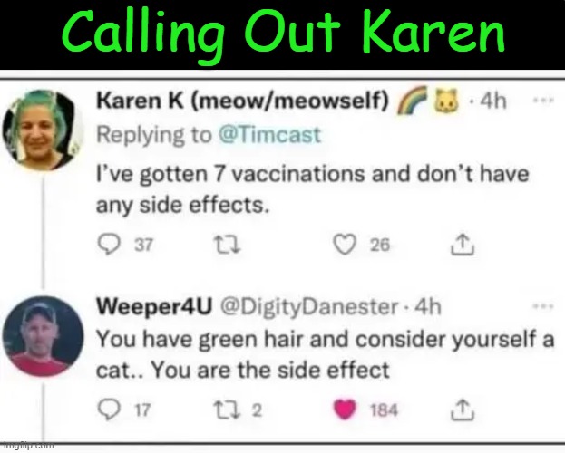 MORE Proof that Liberalism is a Mental Disorder | Calling Out Karen | image tagged in politics,liberalism,blue or green hair,mental disorder,identity crisis,side effects | made w/ Imgflip meme maker