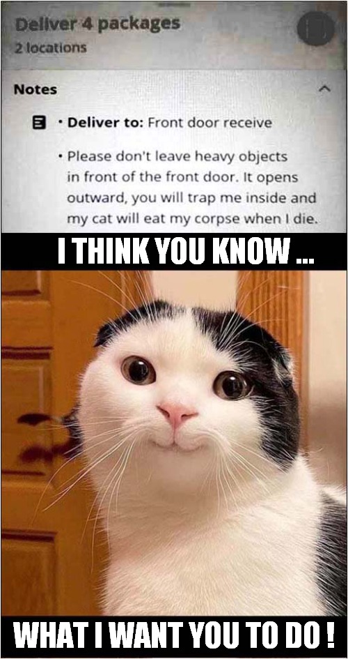 What A Sweet Looking, (But Evil) Cat ! | I THINK YOU KNOW ... WHAT I WANT YOU TO DO ! | image tagged in cats,parcel delivery,trapped,eating owner | made w/ Imgflip meme maker