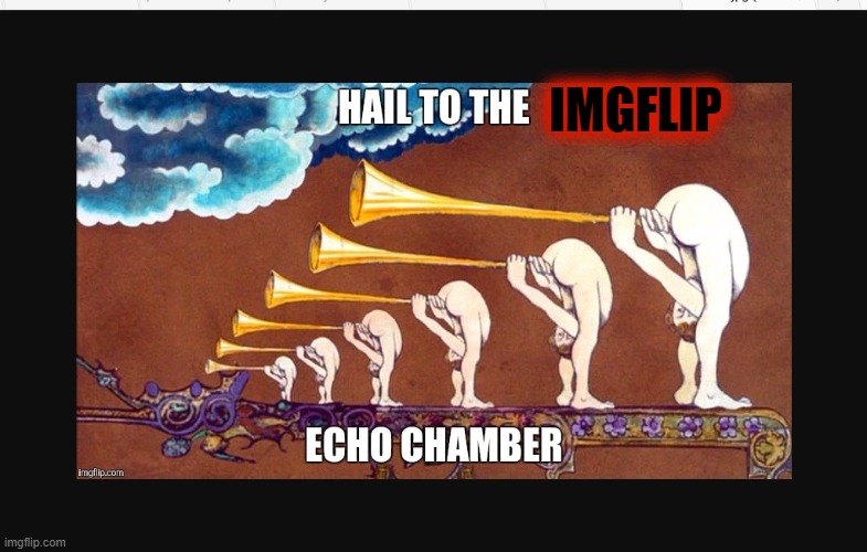 Hail to the leftest echo chamber | IMGFLIP | image tagged in hail to the leftest echo chamber | made w/ Imgflip meme maker