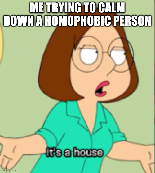 ME TRYING TO CALM DOWN A HOMOPHOBIC PERSON | image tagged in it's a house | made w/ Imgflip meme maker