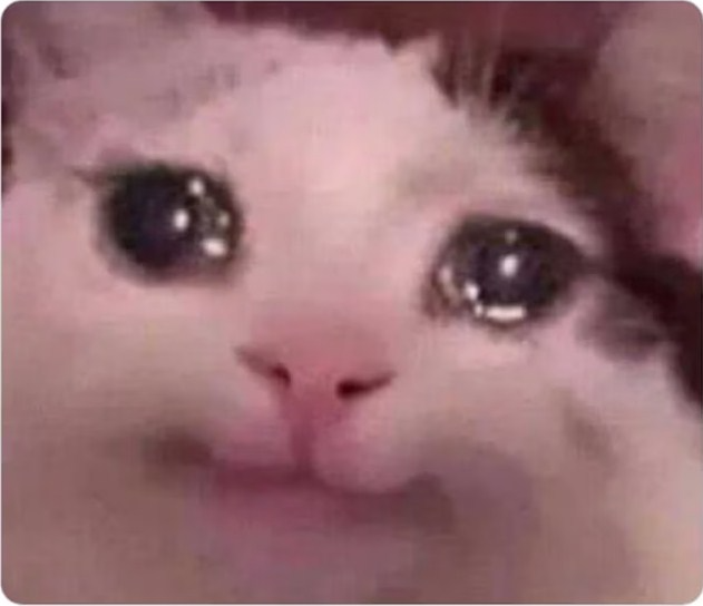 High Quality cat crying sad Blank Meme Template