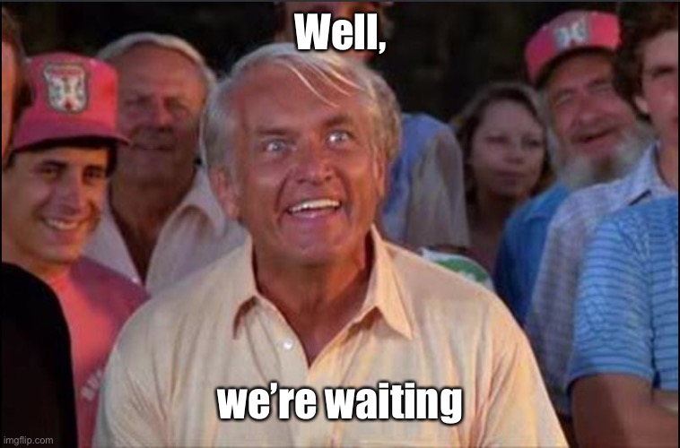 Well we're waiting | Well, we’re waiting | image tagged in well we're waiting | made w/ Imgflip meme maker