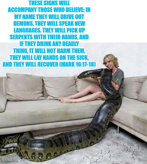 Snake charmer | THESE SIGNS WILL ACCOMPANY THOSE WHO BELIEVE: IN MY NAME THEY WILL DRIVE OUT DEMONS, THEY WILL SPEAK NEW LANGUAGES. THEY WILL PICK UP SERPEN | image tagged in snake charmer | made w/ Imgflip meme maker