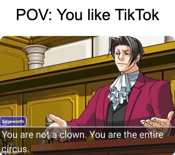 FR! | POV: You like TikTok | image tagged in you are not a clown you are the entire circus,memes,tiktok,tiktok sucks,tik tok sucks,so true memes | made w/ Imgflip meme maker