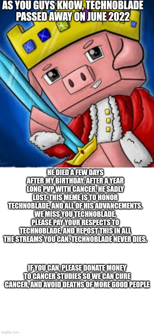 Technoblade's channel icon | AS YOU GUYS KNOW, TECHNOBLADE PASSED AWAY ON JUNE 2022; HE DIED A FEW DAYS AFTER MY BIRTHDAY. AFTER A YEAR LONG PVP WITH CANCER, HE SADLY LOST. THIS MEME IS TO HONOR TECHNOBLADE, AND ALL OF HIS ADVANCEMENTS. WE MISS YOU TECHNOBLADE. PLEASE PAY YOUR RESPECTS TO TECHNOBLADE, AND REPOST THIS IN ALL THE STREAMS YOU CAN. TECHNOBLADE NEVER DIES. IF YOU CAN, PLEASE DONATE MONEY TO CANCER STUDIES SO WE CAN CURE CANCER, AND AVOID DEATHS OF MORE GOOD PEOPLE | image tagged in technoblade's channel icon | made w/ Imgflip meme maker