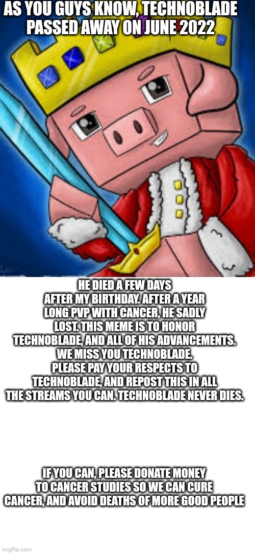 Technoblade's channel icon | AS YOU GUYS KNOW, TECHNOBLADE PASSED AWAY ON JUNE 2022; HE DIED A FEW DAYS AFTER MY BIRTHDAY. AFTER A YEAR LONG PVP WITH CANCER, HE SADLY LOST. THIS MEME IS TO HONOR TECHNOBLADE, AND ALL OF HIS ADVANCEMENTS. WE MISS YOU TECHNOBLADE. PLEASE PAY YOUR RESPECTS TO TECHNOBLADE, AND REPOST THIS IN ALL THE STREAMS YOU CAN. TECHNOBLADE NEVER DIES. IF YOU CAN, PLEASE DONATE MONEY TO CANCER STUDIES SO WE CAN CURE CANCER, AND AVOID DEATHS OF MORE GOOD PEOPLE | image tagged in technoblade's channel icon | made w/ Imgflip meme maker